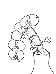 Line art of orchids flowers suitable for coloring book for childrens