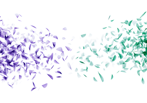 Abstract Purple and Green Petal-Like Shapes Scattered Across the Canvas, Isolated on Transparent and White Background