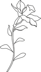 Hand-Drawn Minimalist Botanical Line Sketch