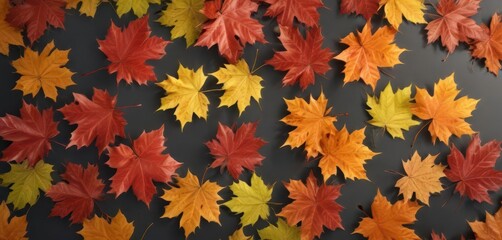 Vibrant autumn leaf design featuring changing maple leaves colors,  maple leaves,  seasonal