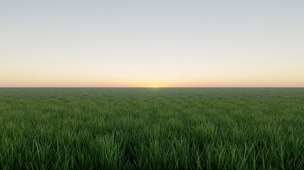 Serene landscape with lush grass and a soft sunrise on the horizon.