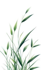 green Grass isolated on white background,Image clean simple background,generation AI