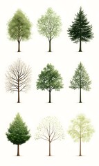 Fototapeta premium set 6 tree isolated on a white background,Image clean simple background,generation AI