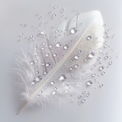 Serene White Feather with Dewdrops: A Symbol of Purity and Tranquility