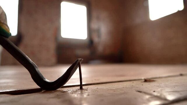 Nail puller pulls a Iron Nail out of the wooden board. Removing a Iron Nail with a nail puller from a wooden floorboard in a house.