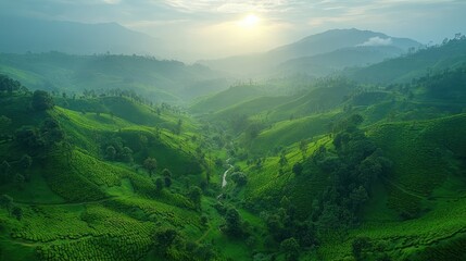 Fototapeta premium Lush green hills and valleys under a soft sunrise, evoking tranquility and natural beauty.