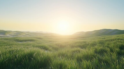 Obraz premium A scenic view of bright green grass stretching into the distance, bathed in the gentle warmth of sunrise.