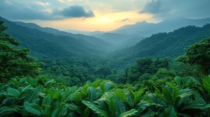 A serene landscape showcasing lush green mountains at sunset.