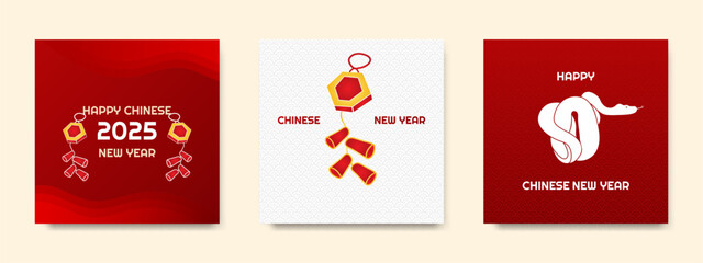 Set chinese new year 2025 for social media template with firecrackers
