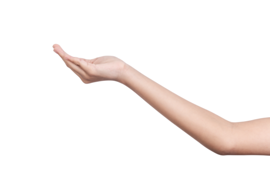 empty female woman hand holding isolated on white background with clipping path.