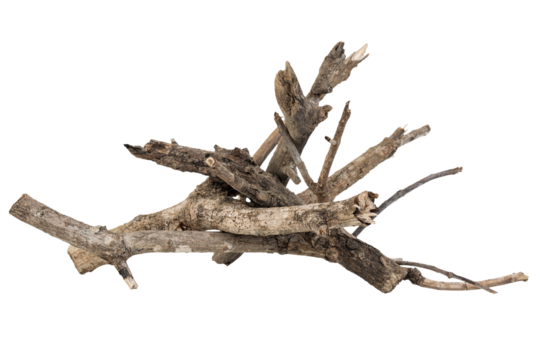 Dry wood pile isolated on white background with clipping path. Dry twigs pile ready for campfire, sticks, boughs heap for a fire, dry thin branches, brushwood.