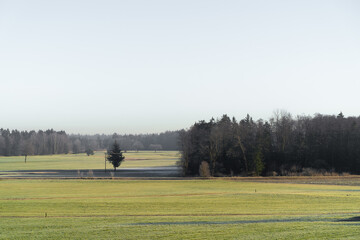 A serene rural landscape featuring a frosty open field, sparse trees, and a dense forest under a clear winter sky.