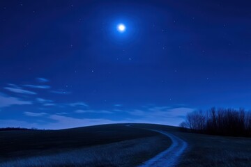 Fototapeta premium Serene Night Landscape with Moonlight and Starry Sky in Blue