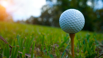 Golf ball on tee in a beautiful golf course with morning sunshine.