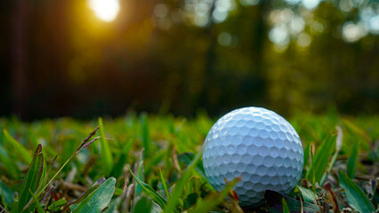 Golf ball is on a green lawn in a beautiful golf course with morning sunshine.