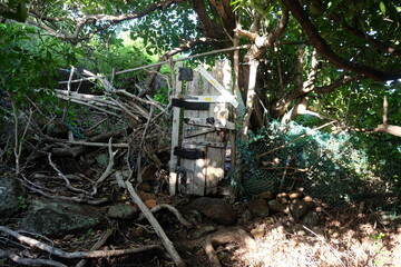 Terre de Bas, Les Saintes, Guadeloupe