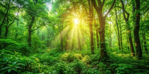 Obraz premium Warm sunlight filtering through lush green foliage in a dense forest , greenery, sunlight