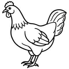 Cute  Line Art Chicken Silhouette Black Vector Illustration
