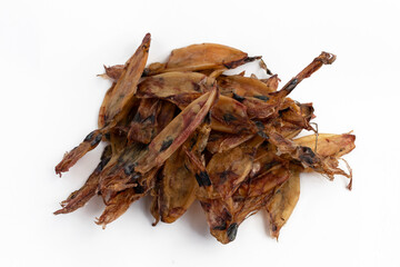 dried squid on white background