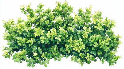 Obraz premium Watercolor Painting of Lush Green Foliage.