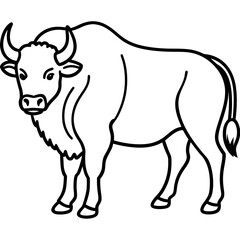 Cute  Line Art Bison Silhouette Black Vector Illustration