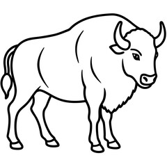 Cute  Line Art Bison Silhouette Black Vector Illustration