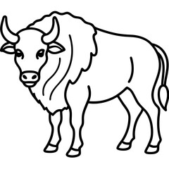 Cute  Line Art Bison Silhouette Black Vector Illustration