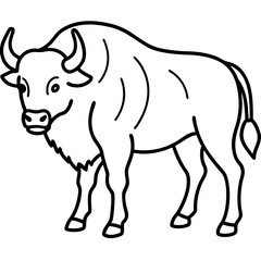 Cute  Line Art Bison Silhouette Black Vector Illustration