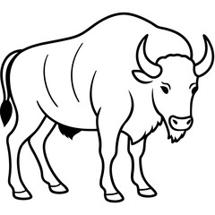 Cute  Line Art Bison Silhouette Black Vector Illustration