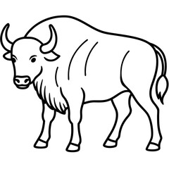 Cute  Line Art Bison Silhouette Black Vector Illustration