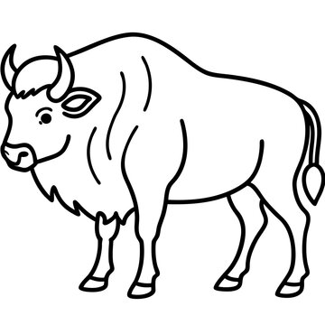 Cute  Line Art Bison Silhouette Black Vector Illustration
