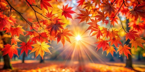 Vibrant red maple leaves glowing in the autumn sun with golden light filtering through the park's trees, creating a kaleidoscope of warm tones and soft colors, tree shadows, warm light