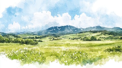 A field of grass with a mountain in the background