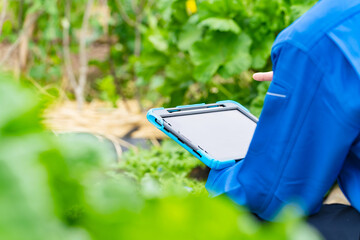 agriculture, tablet, field, farmer, vegetable, iot, dx, digital transformation, agritech, data, sensor, screen, management, quality, soil, cultivation, harvest, graph, chart, operation, technician, en
