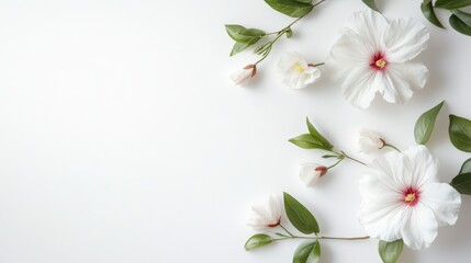Obraz premium A white background with flowers on it