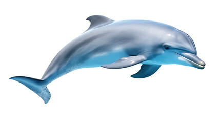 Fototapeta premium Beautiful realistic dolphin swimming in the air