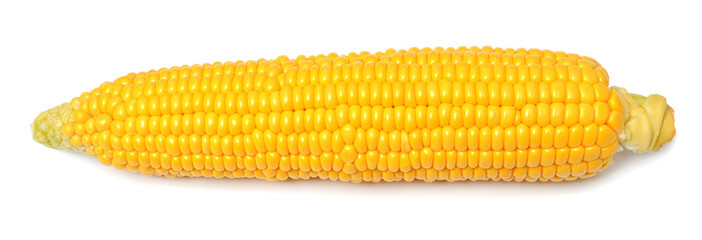 One fresh corn cob macro isolated on white background