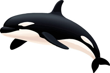 A sleek black and white orca whale swimming in an abstract, minimal style. © prawiroz