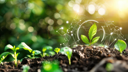Plants growing, city background, environmental care