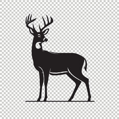 Whitetail deer vector