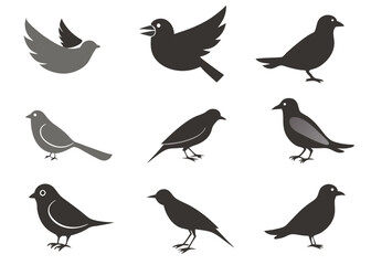Birds silhouette collection on white background

