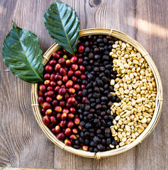 coffee cherries, roasted coffee beans, and green coffee beans in a basket with coffee leaves