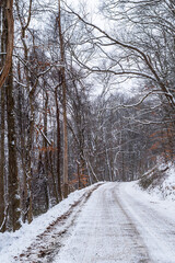 A snow-covered dirt road in Deerfield Township, Pennsylvania, USA on a winter day
