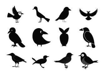 Obraz premium Birds silhouette collection on white background