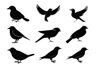 Obraz premium Birds silhouette collection on white background