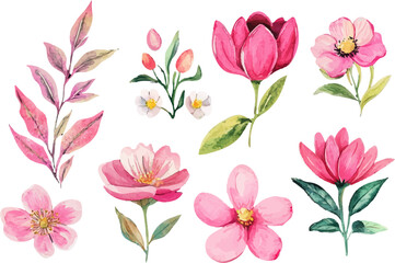 pink and white flowers