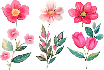 pink and white flowers