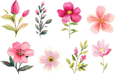 set of pink flowers