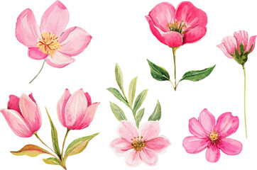 set of pink flowers