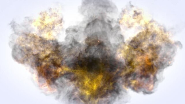 Fire Eagle Logo, Fire Phoenix Bird Flame Intro Logo. Eagle flame and smoke Logo Intro Flaming 4K